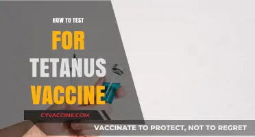 Ensuring Immunity: A Guide to Testing for Tetanus Vaccine Efficacy