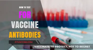 Decoding Immunity: A Guide to Testing for Vaccine Antibodies