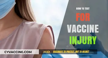 Exploring Vaccine Injury Testing: A Comprehensive Guide
