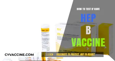 Testing for Hepatitis B Immunity: A Step-by-Step Guide to Vaccine Verification