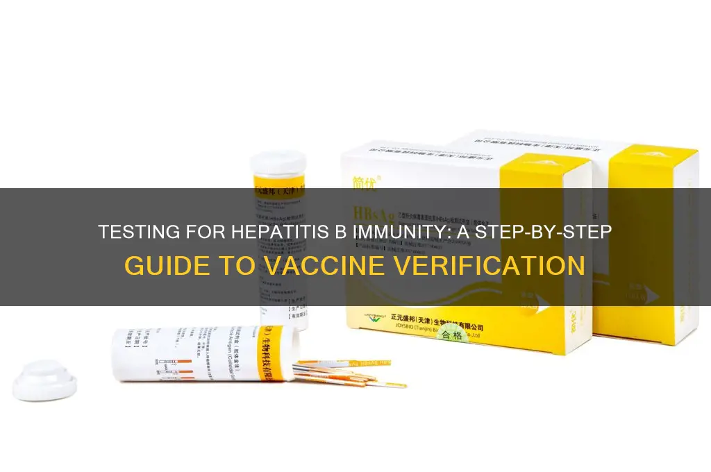 how to test if have hep b vaccine