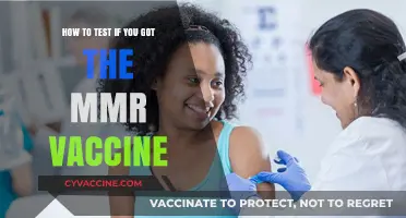 Testing for MMR Immunity: Simple Steps to Verify Your Vaccination Status