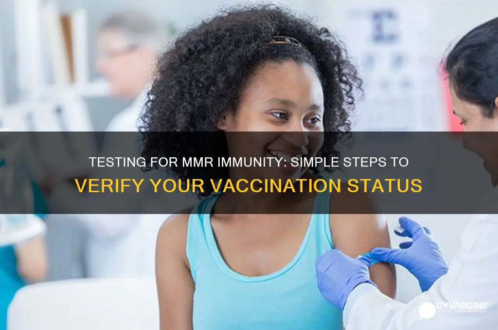 how to test if you got the mmr vaccine