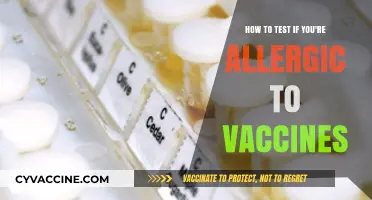 Testing Vaccine Allergies: Safe Steps to Check Your Sensitivity