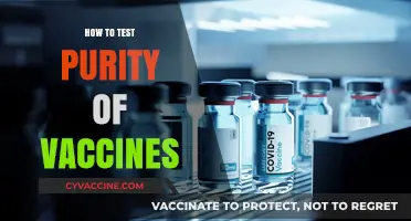 Ensuring Vaccine Integrity: A Guide to Purity Testing Methods
