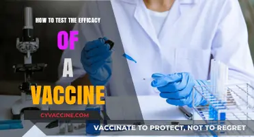 Evaluating Vaccine Efficacy: Key Methods and Best Practices Explained