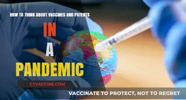 Vaccines, Patents, and Pandemics: Balancing Public Health and Innovation