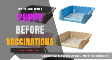 Safe Puppy Potty Training: Tips Before Vaccinations Are Complete