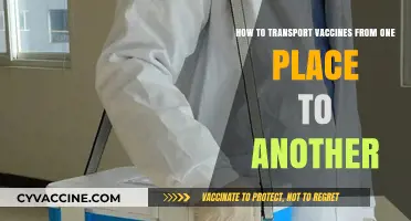 Safe Vaccine Transport: Essential Tips for Secure Delivery and Storage