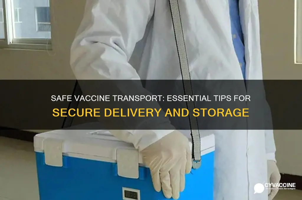 how to transport vaccines from one place to another