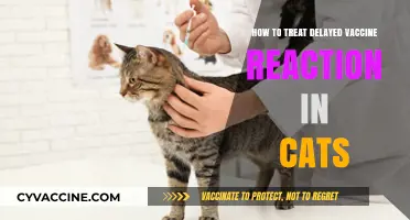 Treating Delayed Vaccine Reactions in Cats: Essential Care Tips