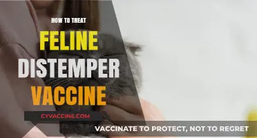 Treating Feline Distemper: A Comprehensive Vaccine Guide