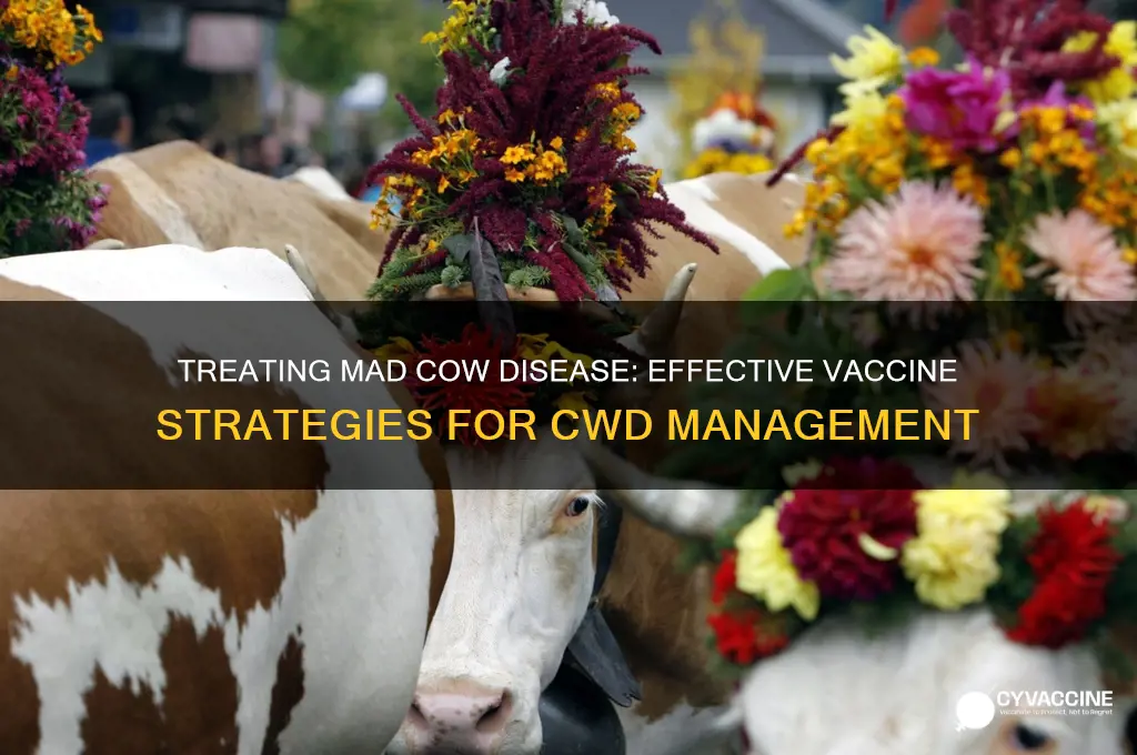 how to treat mad cow disease vaccine cwd