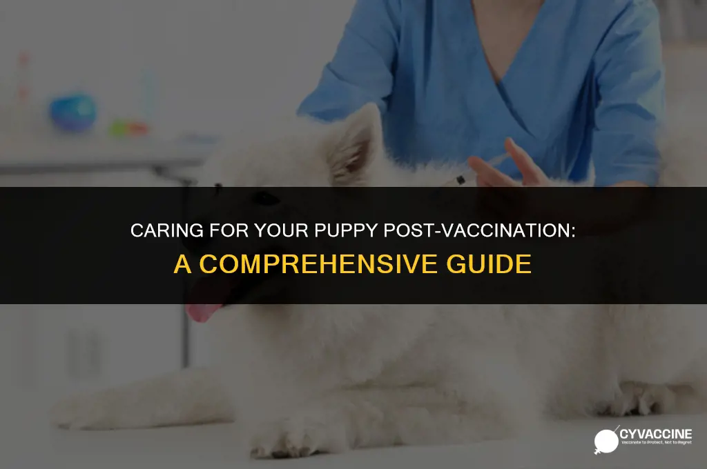 how to treat puppy after vaccination
