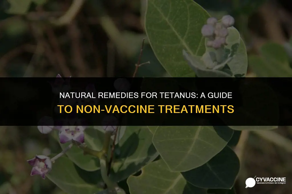 how to treat tetanus without vaccine