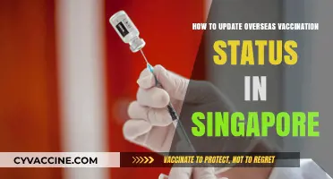 Updating Overseas Vaccination Records in Singapore: A Step-by-Step Guide