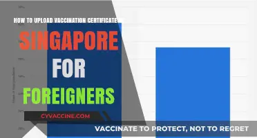 Uploading Vaccination Certificates in Singapore: A Guide for Foreigners