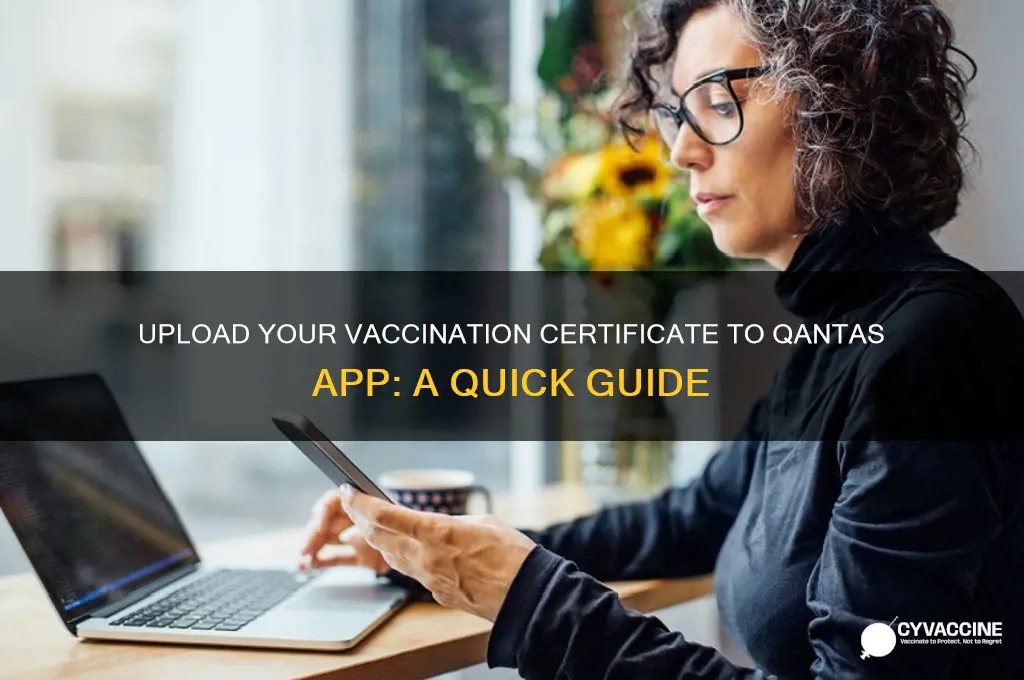 how to upload vaccination certificate to qantas app