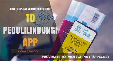 Upload Your Vaccine Certificate to PeduliLindungi App: A Quick Guide