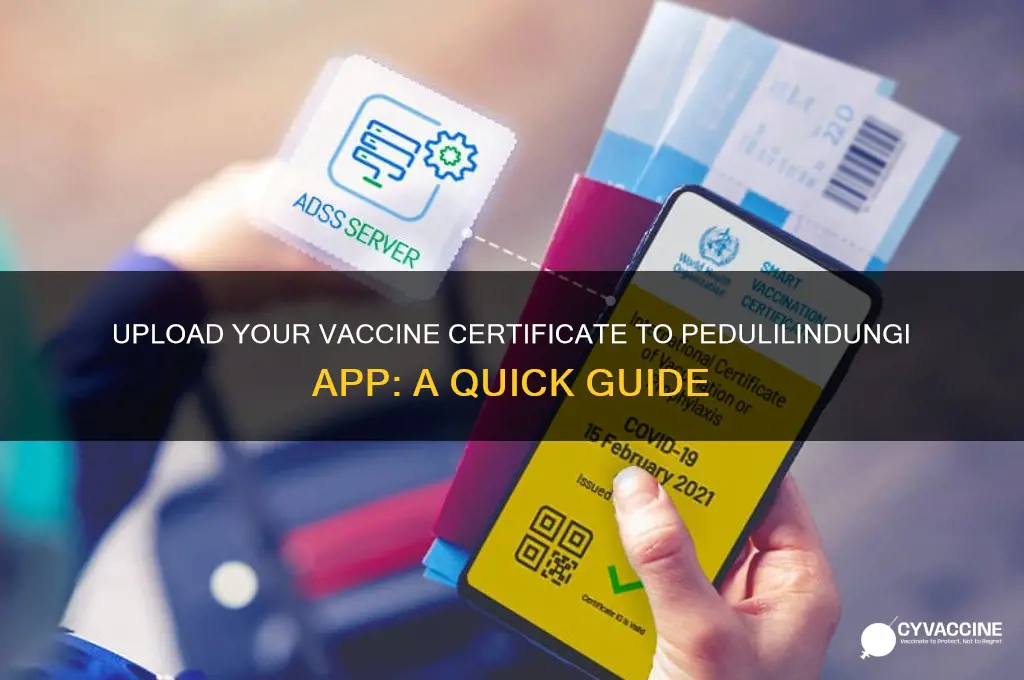 how to upload vaccine certificate to pedulilindungi app