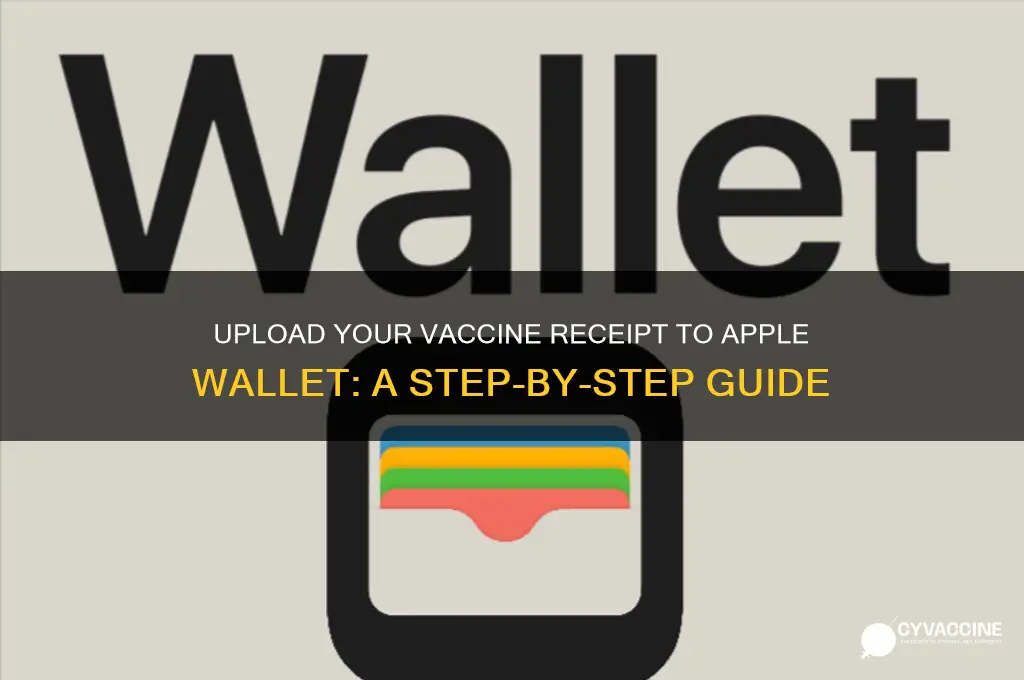 how to upload vaccine receipt to apple wallet