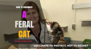 Compassionate Guide: Vaccinating Feral Cats for a Healthier Community