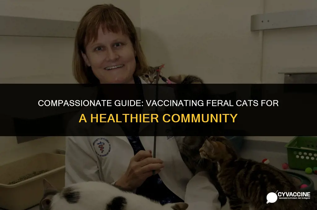 how to vaccinate a feral cat