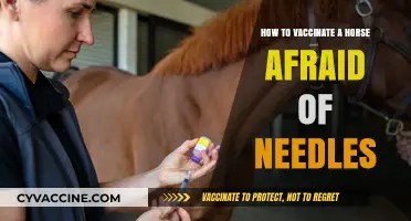 Calmly Vaccinating Needle-Shy Horses: Gentle Techniques for Stress-Free Care