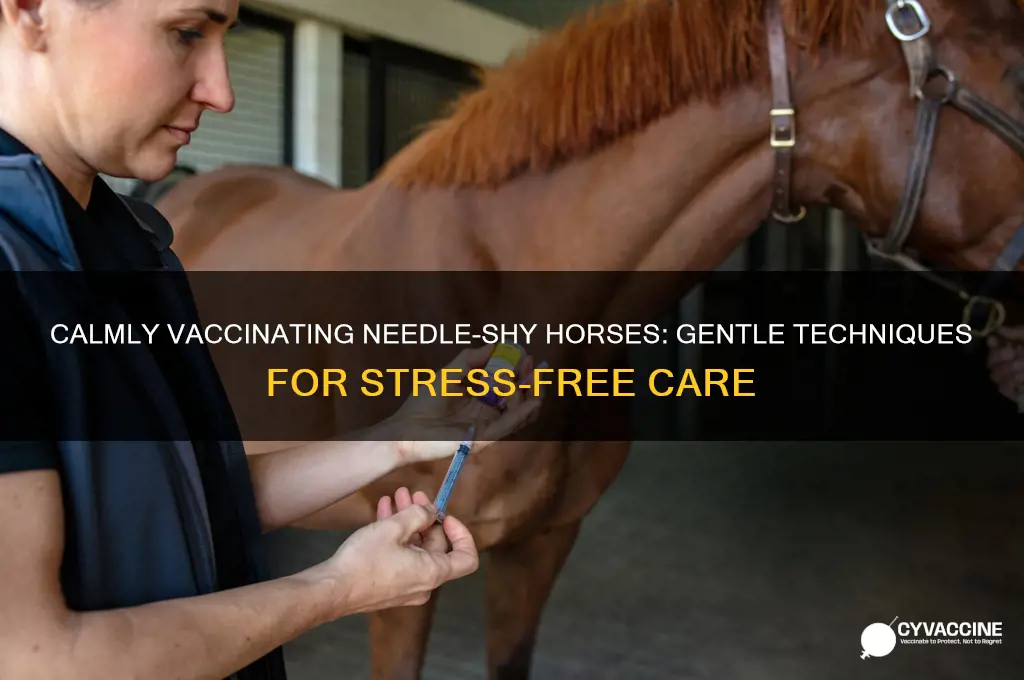 how to vaccinate a horse afraid of needles