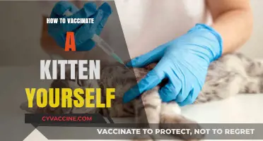 DIY Kitten Vaccination: A Step-by-Step Guide for Pet Owners