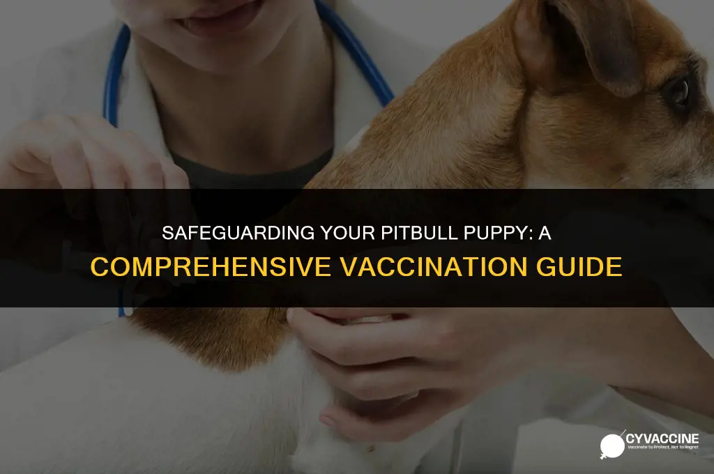 how to vaccinate a pitbull puppy