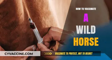 Taming the Untamed: A Guide to Vaccinating Wild Horses Safely