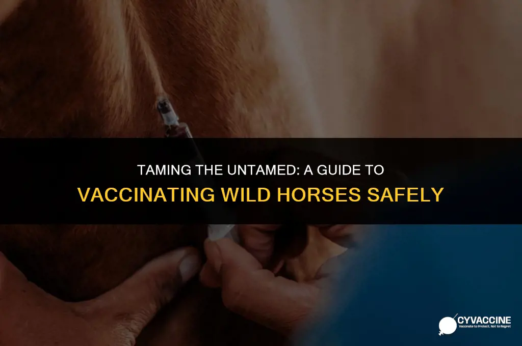 how to vaccinate a wild horse