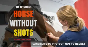 Gentle Equine Immunization: A Shot-Free Approach to Horse Vaccination