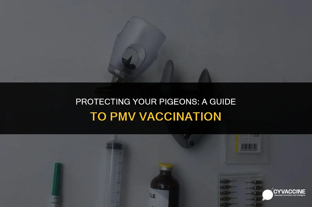 how to vaccinate pigeons for pmv
