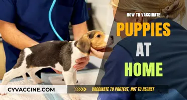 Safely Vaccinating Your Puppies at Home: A Step-by-Step Guide