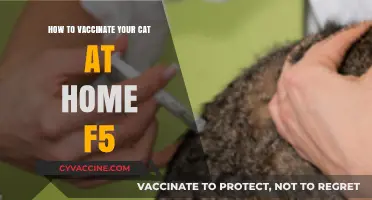 DIY Cat Vaccination Guide: Safely Immunize Your F5 Feline at Home