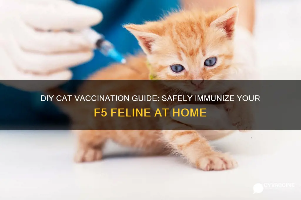 how to vaccinate your cat at home f5