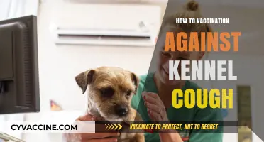 Protecting Your Pup: A Guide to Vaccination Against Kennel Cough