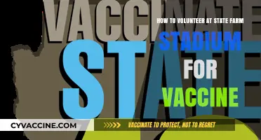 Volunteer at State Farm Stadium: Guide to COVID-19 Vaccine Support
