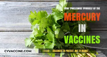 Detox Safely: Effective Ways to Remove Mercury from Vaccines
