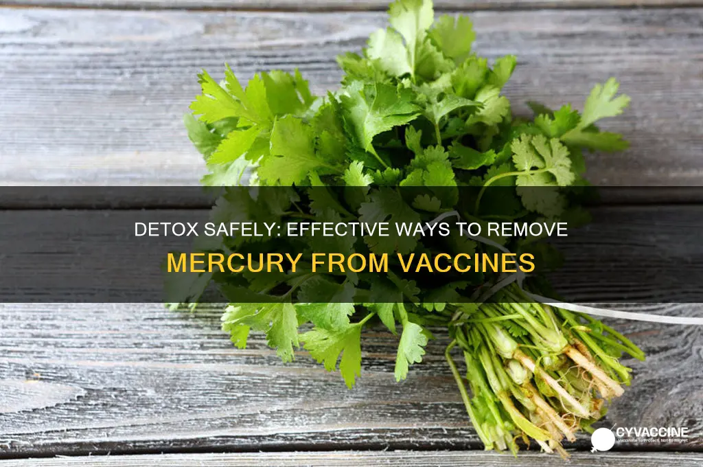 how tpncleanse ypurself of the mercury in vaccines