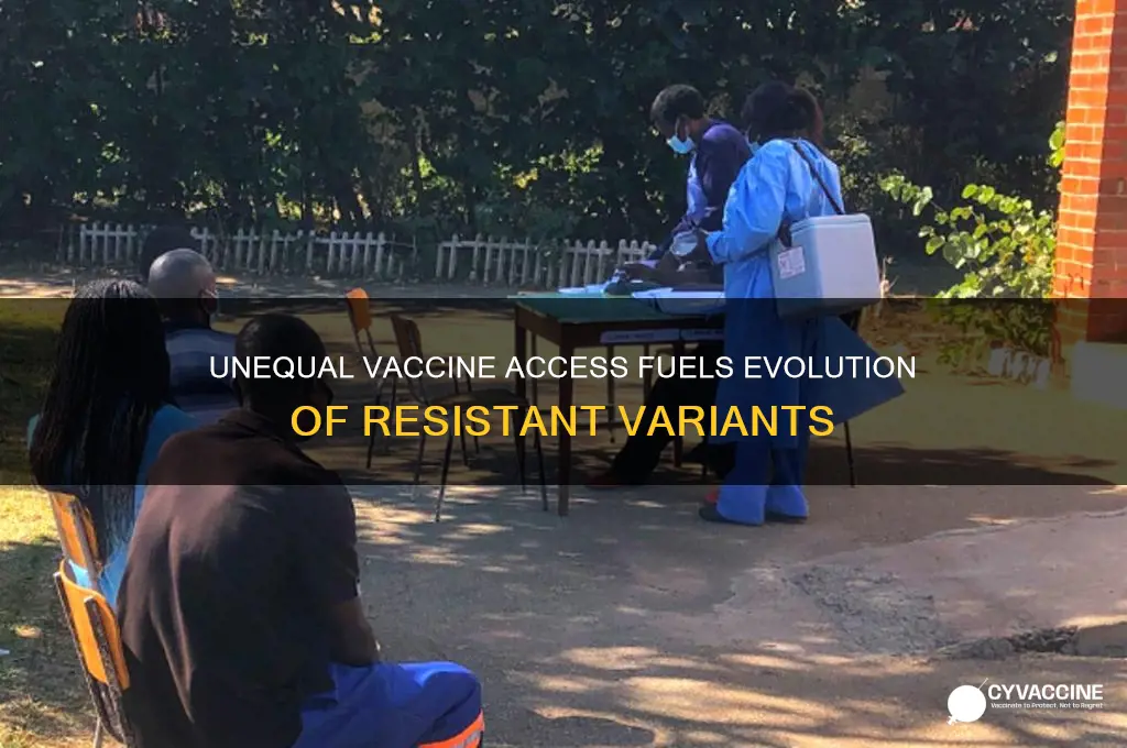 how unequal vaccine distribution promotes the evolution of vaccine escape
