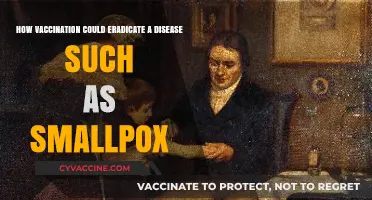 Vaccination Triumph: How Smallpox Was Eradicated and Lessons Learned