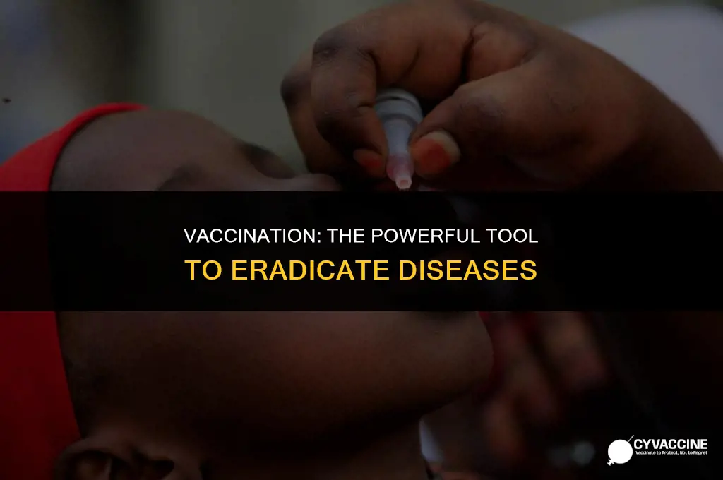how vaccination could eradicate a disease