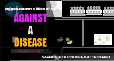 Vaccination: Empowering Your Immune System to Fight Diseases Effectively