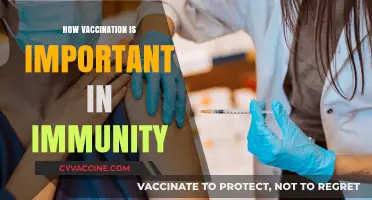 Boosting Immunity: The Vital Role of Vaccinations in Protecting Public Health