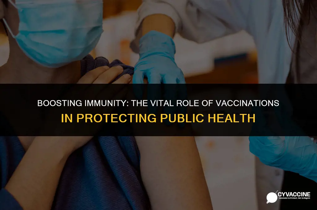 how vaccination is important in immunity