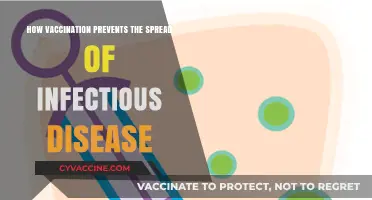 Vaccination: A Powerful Shield Against Infectious Disease Spread