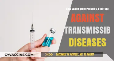 Vaccination: Your Powerful Shield Against Transmissible Diseases Explained